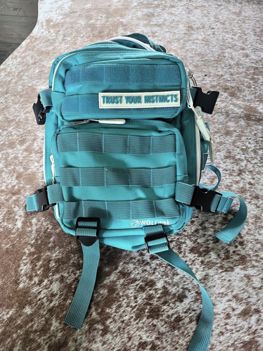 WOLFPACK 9L Backpack in Teal